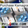 Purchase Kamagra viagra5